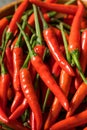 Spicy Organic Red Thai Birds Eye Chilli Peppers