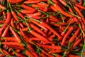 Spicy Organic Red Thai Birds Eye Chilli Peppers