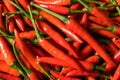 Spicy Organic Red Thai Birds Eye Chilli Peppers