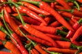 Spicy Organic Red Thai Birds Eye Chilli Peppers