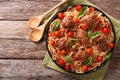 Spicy pasta with meatballs, olives, basil and tomato sauce close Royalty Free Stock Photo