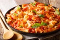 Spicy pasta ziti with minced meat, tomatoes, herbs and cheese cl