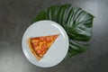 Spicy Pepperoni pizza slice with Monstera leaf under the plate