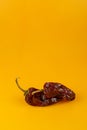 Spicy peppers on an orange background, ideal for posters