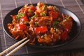 Spicy pork with peppers, carrots and onions in sweet and sour sa Royalty Free Stock Photo