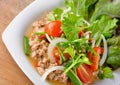 Spicy pork salad, Thai cusine on wooden background Royalty Free Stock Photo