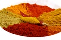 Spicy powders Royalty Free Stock Photo