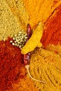 Spicy powders Royalty Free Stock Photo