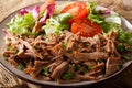 spicy pulled beef with fresh vegetable salad close-up. horizontal Royalty Free Stock Photo