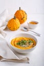 Spicy pumpkin soup served with pumpkin seeds and parsley.  Bowl with autumn squash soup on white table Royalty Free Stock Photo
