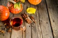 Spicy pumpkin tea Royalty Free Stock Photo