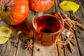 Spicy pumpkin tea Royalty Free Stock Photo