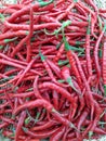 A pile of red chilies on display at a supermarket. Royalty Free Stock Photo