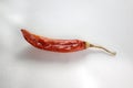 Spicy Red Dried chilly image