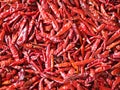 Spicy red dry chili. Royalty Free Stock Photo