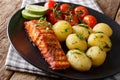 Spicy roasted salmon and boiled potatoes, fresh tomatoes close-up. horizontal