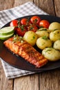 Spicy roasted salmon and new potatoes, fresh tomatoes close-up. Royalty Free Stock Photo