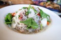 Spicy salad or noodles salad, Thai spicy salad or vermicelli and minced pork salad or vermicelli salad Royalty Free Stock Photo