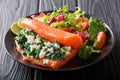 Spicy salmon stuffed with spinach and cream cheese and fresh veg Royalty Free Stock Photo
