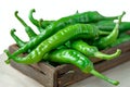 Spicy scene Green chili peppers create a lively and eye catching display