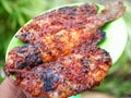 Spicy seasoned grilled fish