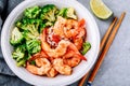 Spicy Shrimp Burrito Bowl with cilantro lime rice and broccoli Royalty Free Stock Photo