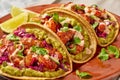 Spicy Shrimp Tacos with Coleslaw and Guacamole Royalty Free Stock Photo