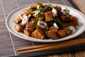 Spicy Sichuan eggplant is also known as fish fragrant eggplant