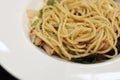 Closeup of Spicy Spaghetti in white round clean disk SELECTIVE FOCUS