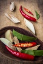Spicy spices Royalty Free Stock Photo