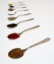 Spicy spoonfuls - pepper, salt, seeds, pepper, thyme, coriander