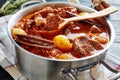 Tifado - tasty greek stew with beef, onion