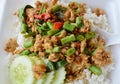 Spicy stir fried chicken with basil leaf on rice in foam box for take home Royalty Free Stock Photo