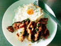 Spicy stir fried crispy pork with basil leaf and with a fried egg atop the jasmine rice Royalty Free Stock Photo