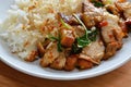 Spicy stir fried crispy pork with basil leaf Royalty Free Stock Photo