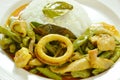 Spicy stir fried squid and chicken with yard Chinese bean in curry on rice