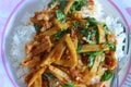 Spicy stir shredded bambooshoot with pork and curry Royalty Free Stock Photo