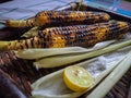 Spicy sweet corn burn in fire with lemon and salt in a wood tray from different angles Royalty Free Stock Photo