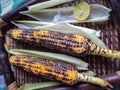 Spicy sweet corn burn in fire with lemon and salt in a wood tray from different angles Royalty Free Stock Photo