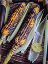 Spicy sweet corn burn in fire with lemon and salt in a wood tray from different angles Royalty Free Stock Photo