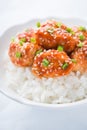 Spicy sweet and sour chicken with sesame and rice close up