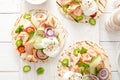 Spicy tacos with grilled salmon, vegetables, ricotta cheese, chili and fresh mint Royalty Free Stock Photo