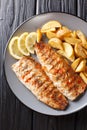 Spicy tasty grilled mackerel filet with potato wedges and lemon close-up on a plate. Vertical top view Royalty Free Stock Photo