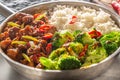 Spicy teriyaki chicken with steamed broccoli and rice in a pot Royalty Free Stock Photo