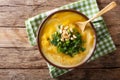 Spicy Thai pumpkin soup with peanuts and cilantro close-up in a Royalty Free Stock Photo