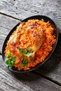 Spicy thakkali sadam south indian tomato rice Royalty Free Stock Photo