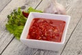 Spicy tomato and garlic sauce Royalty Free Stock Photo