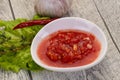 Spicy tomato and garlic sauce Royalty Free Stock Photo