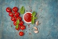 Spicy tomato ketchup sauce with Cherry tomatoes, garlic and basil Royalty Free Stock Photo