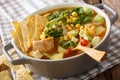 Spicy tortilla soup with chicken, cilantro, tomatoes, avocado an Royalty Free Stock Photo